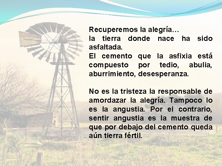  Recuperemos la alegría… la tierra donde nace ha sido asfaltada. El cemento que