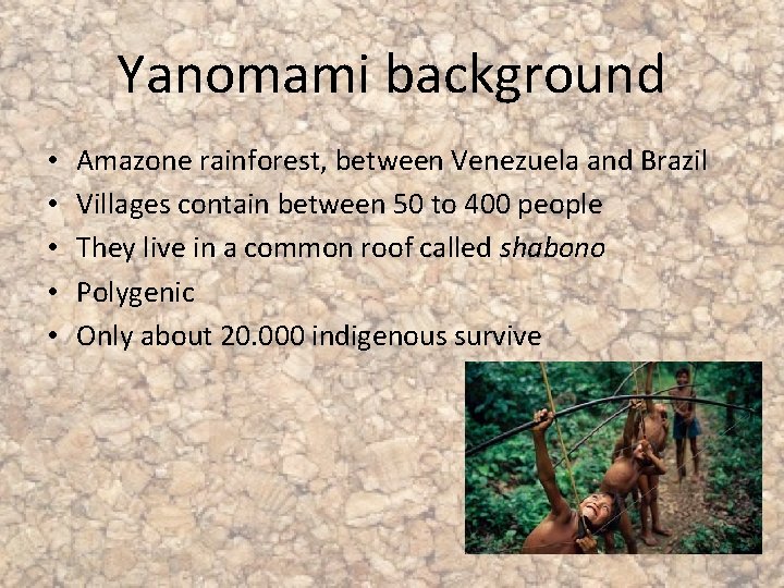 Yanomami background • • • Amazone rainforest, between Venezuela and Brazil Villages contain between