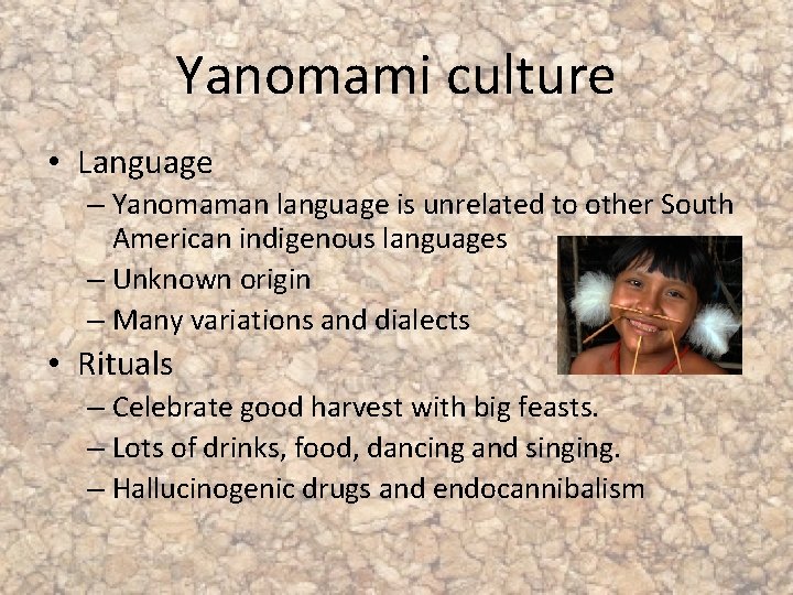 Yanomami culture • Language – Yanomaman language is unrelated to other South American indigenous