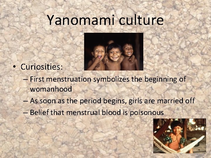 Yanomami culture • Curiosities: – First menstruation symbolizes the beginning of womanhood – As