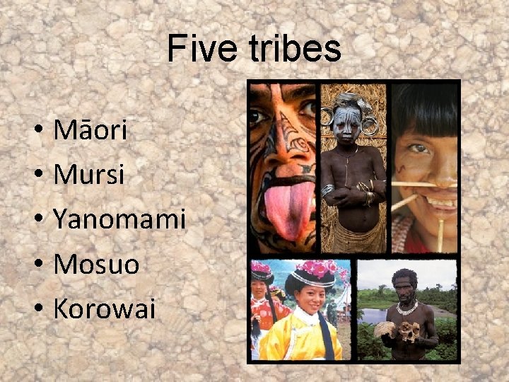 Five tribes • Māori • Mursi • Yanomami • Mosuo • Korowai 