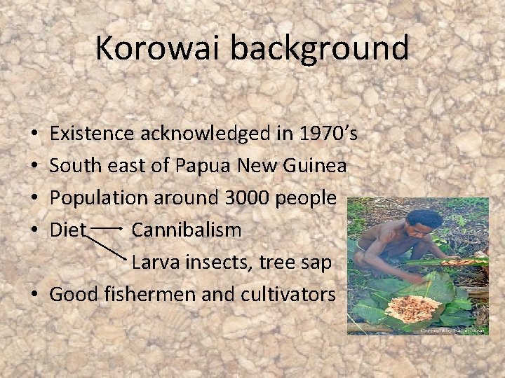 Korowai background Existence acknowledged in 1970’s South east of Papua New Guinea Population around