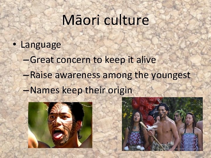 Māori culture • Language – Great concern to keep it alive – Raise awareness