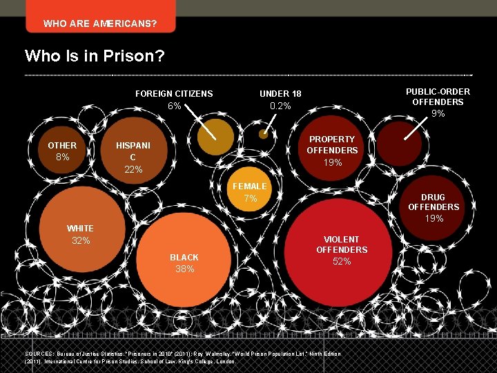 WHO ARE AMERICANS? Who Is in Prison? OTHER 8% FOREIGN CITIZENS UNDER 18 6%