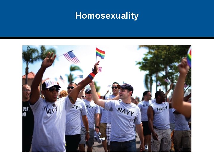 Homosexuality 