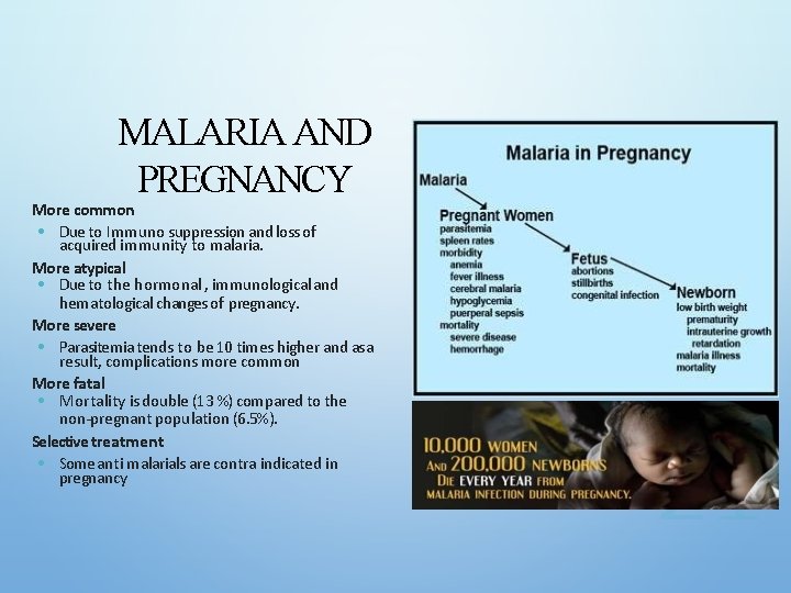 MALARIA AND PREGNANCY More common • Due to Immuno suppression and loss of acquired
