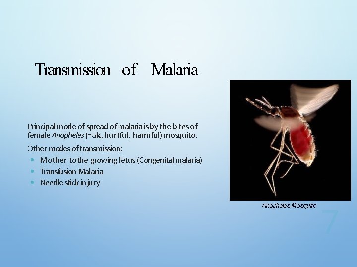 Transmission of Malaria Principal mode of spread of malaria is by the bites of