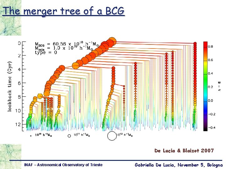 The merger tree of a BCG De Lucia & Blaizot 2007 INAF – Astronomical
