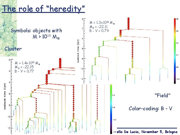 The role of “heredity” Symbols: objects with M > 1010 M M = 1.