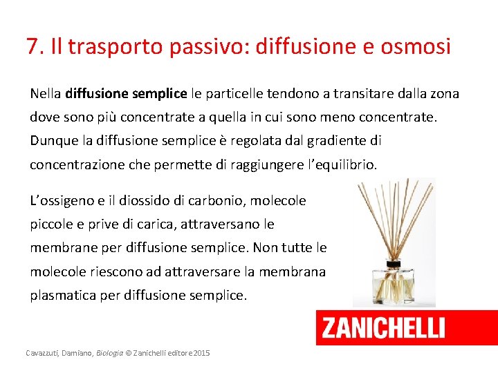 7. Il trasporto passivo: diffusione e osmosi Nella diffusione semplice le particelle tendono a