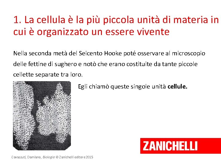 1. La cellula è la più piccola unità di materia in cui è organizzato