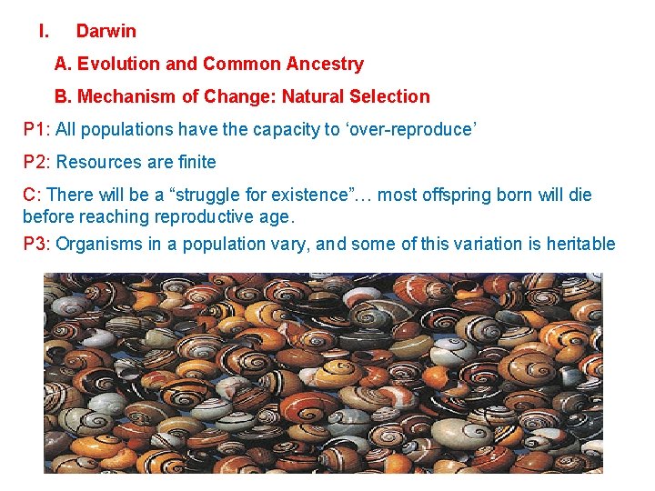 I. Darwin A. Evolution and Common Ancestry B. Mechanism of Change: Natural Selection P