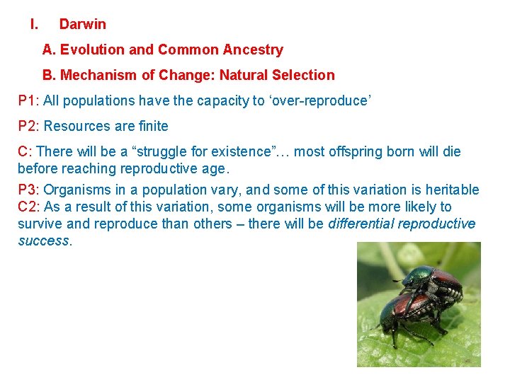 I. Darwin A. Evolution and Common Ancestry B. Mechanism of Change: Natural Selection P