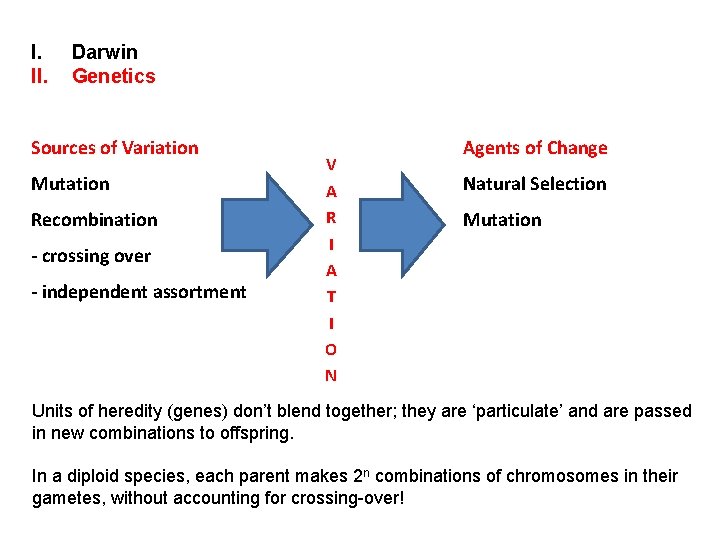 I. II. Darwin Genetics Sources of Variation Mutation Recombination - crossing over - independent