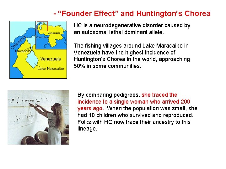 - “Founder Effect” and Huntington’s Chorea HC is a neurodegenerative disorder caused by an