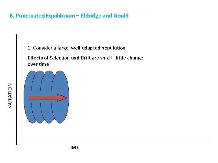 B. Punctuated Equilibrium – Eldridge and Gould 1. Consider a large, well-adapted population VARIATION