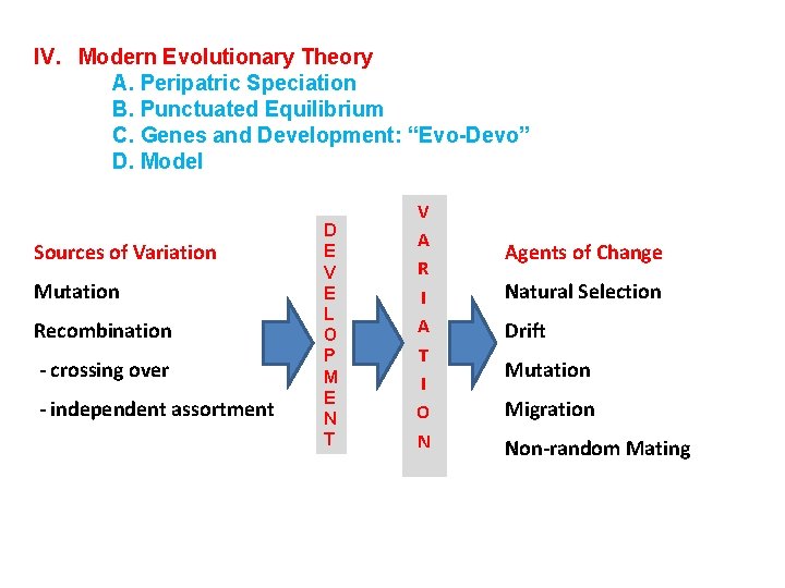 IV. Modern Evolutionary Theory A. Peripatric Speciation B. Punctuated Equilibrium C. Genes and Development: