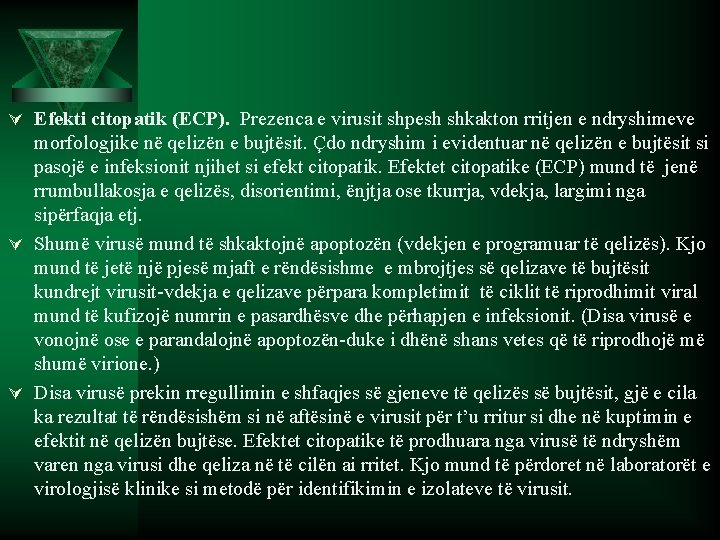 Ú Efekti citopatik (ECP). Prezenca e virusit shpesh shkakton rritjen e ndryshimeve morfologjike në