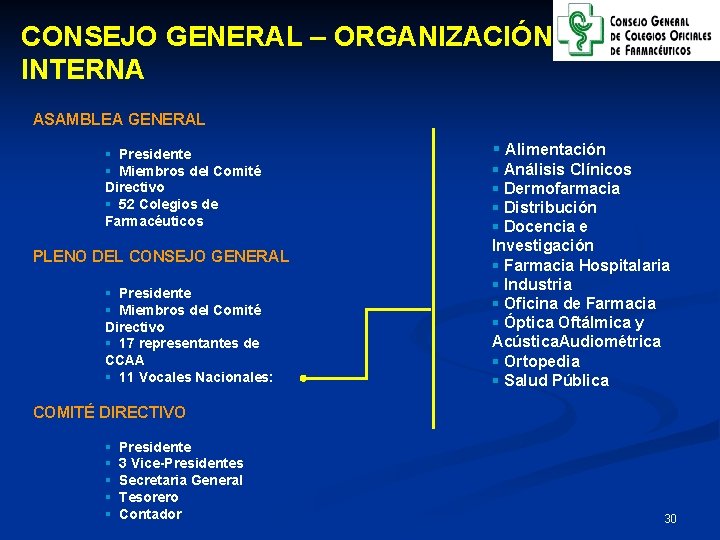 CONSEJO GENERAL – ORGANIZACIÓN INTERNA ASAMBLEA GENERAL § Presidente § Miembros del Comité Directivo