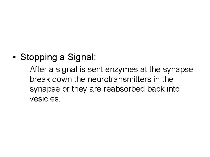  • Stopping a Signal: – After a signal is sent enzymes at the