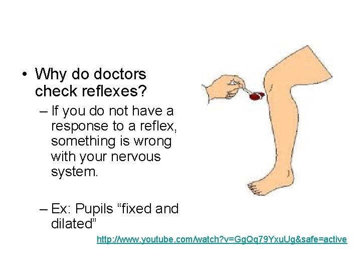  • Why do doctors check reflexes? – If you do not have a