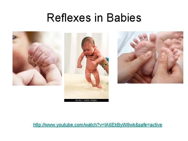 Reflexes in Babies http: //www. youtube. com/watch? v=l. A 6 Ek. By. W 8