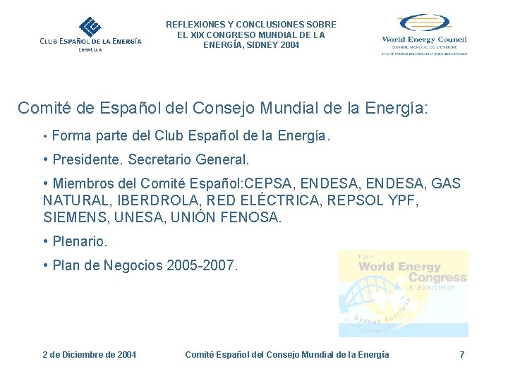 REFLEXIONES Y CONCLUSIONES SOBRE EL XIX CONGRESO MUNDIAL DE LA ENERGÍA, SIDNEY 2004 Comité