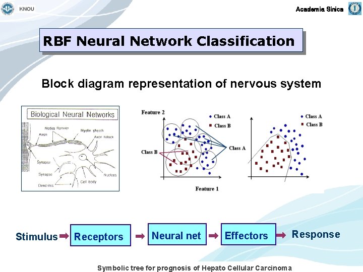 Academia Sinica RBF Neural Network Classification Block diagram representation of nervous system Stimulus Receptors