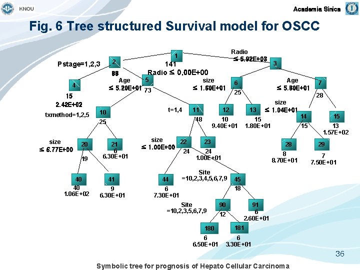 Academia Sinica Fig. 6 Tree structured Survival model for OSCC 2 Pstage=1, 2, 3