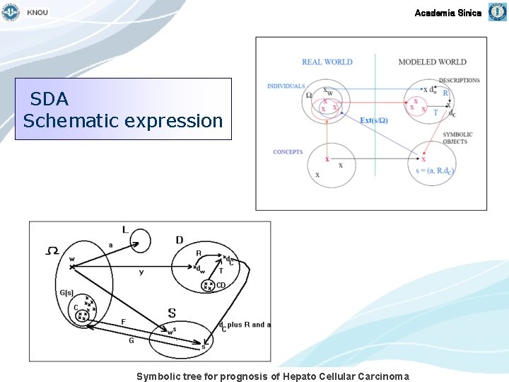 Academia Sinica SDA Schematic expression Symbolic tree for prognosis of Hepato Cellular Carcinoma 