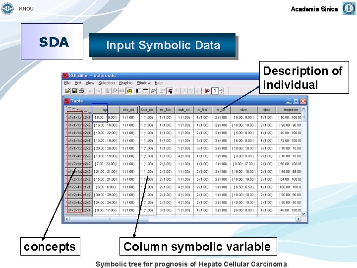 Academia Sinica SDA Input Symbolic Data Description of individual concepts Column symbolic variable Symbolic