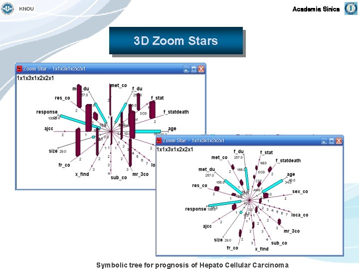 Academia Sinica 3 D Zoom Stars Symbolic tree for prognosis of Hepato Cellular Carcinoma