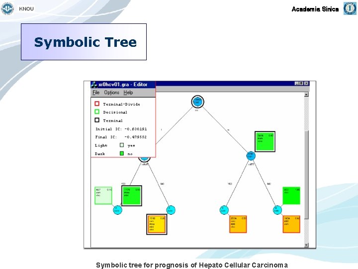 Academia Sinica Symbolic Tree Symbolic tree for prognosis of Hepato Cellular Carcinoma 
