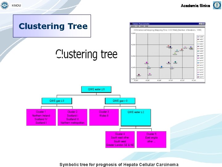 Academia Sinica Clustering Tree Symbolic tree for prognosis of Hepato Cellular Carcinoma 