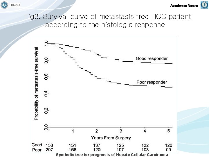 Academia Sinica Fig 3. Survival curve of metastasis free HCC patient according to the