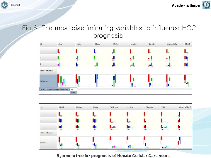 Academia Sinica Fig. 6 The most discriminating variables to influence HCC prognosis. Symbolic tree