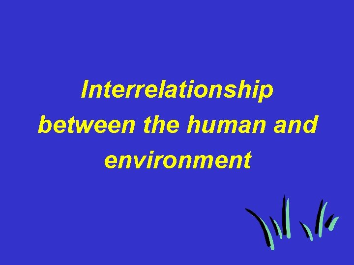 Interrelationship between the human and environment 