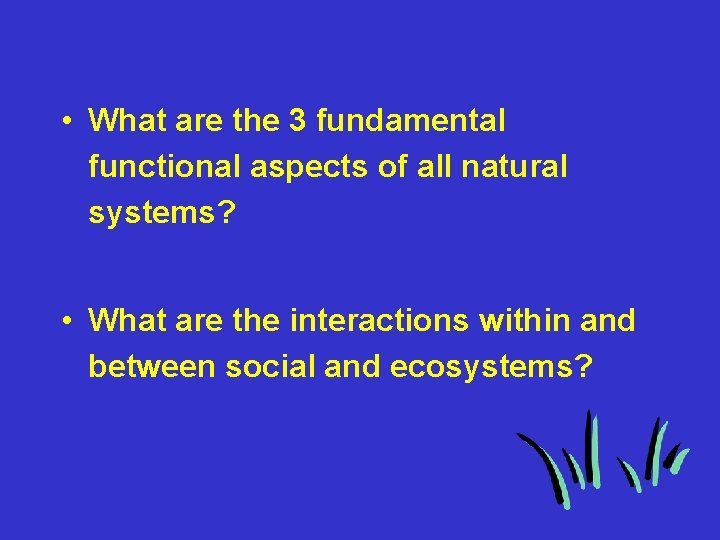  • What are the 3 fundamental functional aspects of all natural systems? •