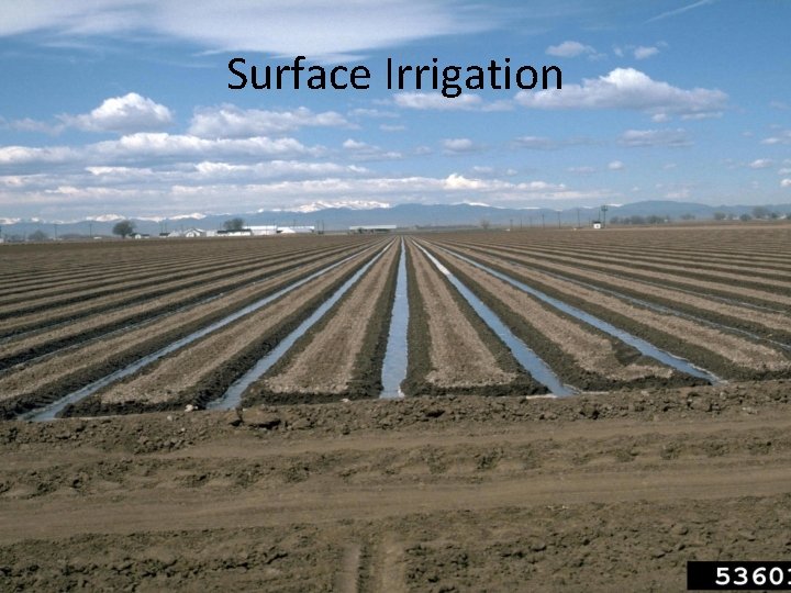 Surface Irrigation 