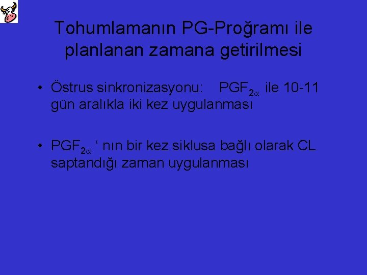 Tohumlamanın PG-Proğramı ile planlanan zamana getirilmesi • Östrus sinkronizasyonu: PGF 2 ile 10 -11