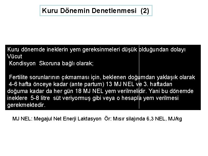 Kuru Dönemin Denetlenmesi (2) Kuru dönemde ineklerin yem gereksinmeleri düşük olduğundan dolayı Vücut Kondisyon