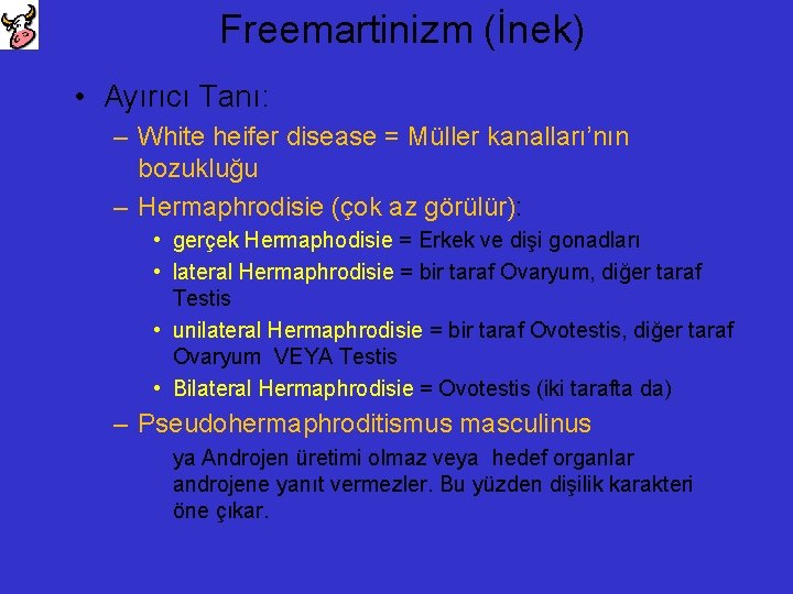 Freemartinizm (İnek) • Ayırıcı Tanı: – White heifer disease = Müller kanalları’nın bozukluğu –