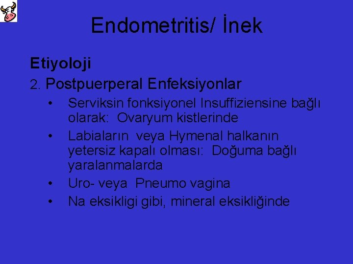 Endometritis/ İnek Etiyoloji 2. Postpuerperal Enfeksiyonlar • • Serviksin fonksiyonel Insuffiziensine bağlı olarak: Ovaryum