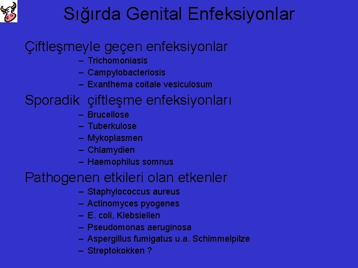 Sığırda Genital Enfeksiyonlar Çiftleşmeyle geçen enfeksiyonlar – Trichomoniasis – Campylobacteriosis – Exanthema coitale vesiculosum