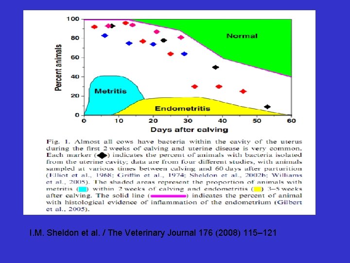 I. M. Sheldon et al. / The Veterinary Journal 176 (2008) 115– 121 