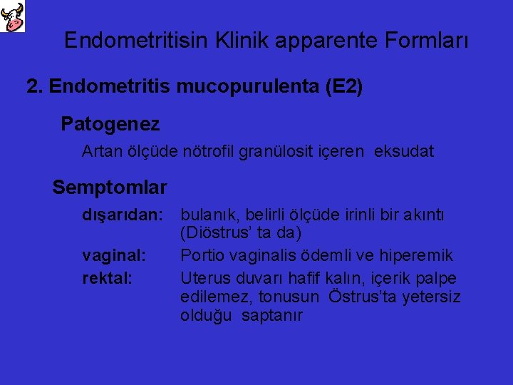 Endometritisin Klinik apparente Formları 2. Endometritis mucopurulenta (E 2) Patogenez Artan ölçüde nötrofil granülosit