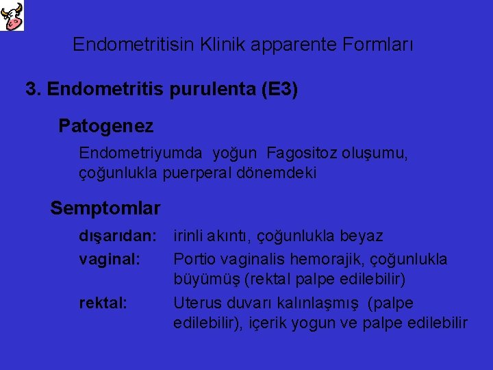 Endometritisin Klinik apparente Formları 3. Endometritis purulenta (E 3) Patogenez Endometriyumda yoğun Fagositoz oluşumu,