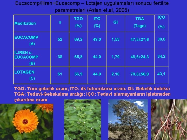 Eucacomp/Iliren+Eucacomp – Lotajen uygulamaları sonucu fertilite parametreleri (Aslan et. al, 2005) TGO: Tüm gebelik