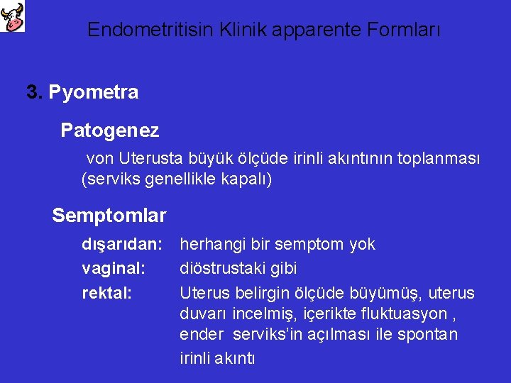 Endometritisin Klinik apparente Formları 3. Pyometra Patogenez von Uterusta büyük ölçüde irinli akıntının toplanması