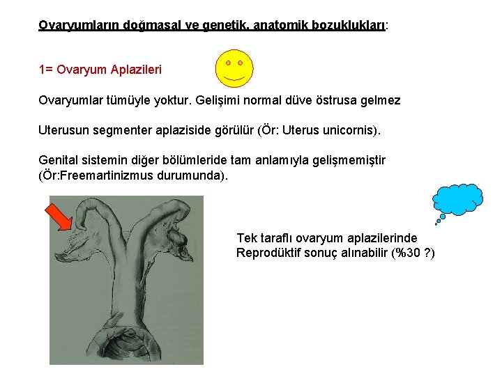 Ovaryumların doğmasal ve genetik, anatomik bozuklukları: 1= Ovaryum Aplazileri Ovaryumlar tümüyle yoktur. Gelişimi normal